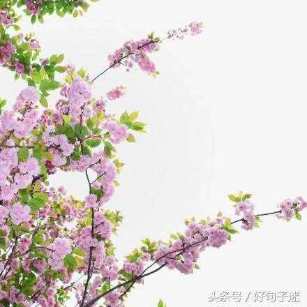 文艺小清新唯美的短句，句句走心，拿去发朋友圈！