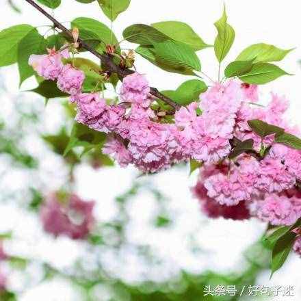 文艺小清新唯美的短句，句句走心，拿去发朋友圈！