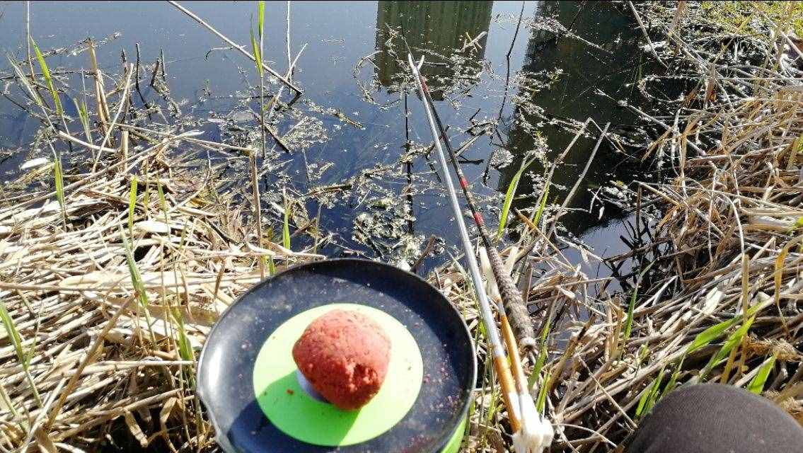 想钓大鲤鱼，先掌握这六个作钓技巧你再试试看，钓不好你找我！