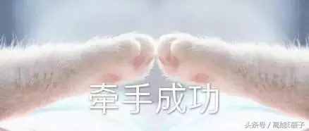 薛之谦高磊鑫复合：十年长情，段子背后不为人知的孤独与伤痛