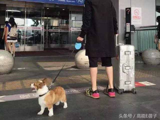薛之谦高磊鑫复合：十年长情，段子背后不为人知的孤独与伤痛