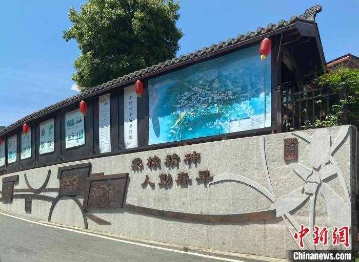 年人均纯收入超5万元 中国花木村靠勤劳走向“超级小康”