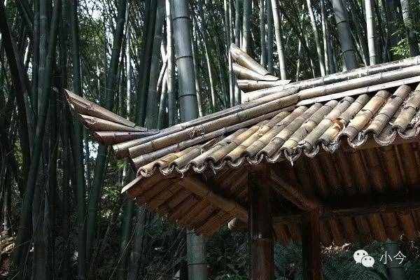 如何一天内自驾玩转蜀南竹海？