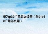 华为p30广角怎么设置（华为p30广角怎么用）