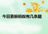 今日更新蚂蚁有几条腿