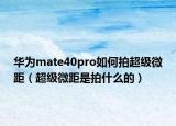 华为mate40pro如何拍超级微距（超级微距是拍什么的）