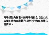 青鸟殷勤为探看中的青鸟指什么（蓬山此去无多路青鸟殷勤为探看中的青鸟是什么的代称）