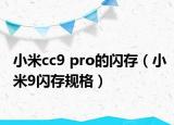 小米cc9 pro的闪存（小米9闪存规格）