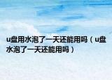 u盘用水泡了一天还能用吗（u盘水泡了一天还能用吗）