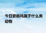 今日更新鸡属于什么类动物