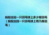 蚂蚁庄园一只羽毛球上多少根羽毛（蚂蚁庄园一只羽毛球上有几根羽毛）