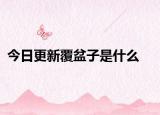 今日更新覆盆子是什么
