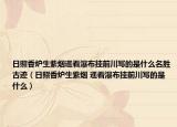 日照香炉生紫烟遥看瀑布挂前川写的是什么名胜古迹（日照香炉生紫烟 遥看瀑布挂前川写的是什么）