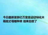 今日最新更新亿万富翁盗窃绿化木箱给丈母娘种菜 结果悲剧了