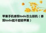 苹果手机番茄todo怎么锁机（番茄todo能不能锁苹果）