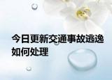今日更新交通事故逃逸如何处理
