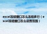 excel冻结窗口怎么冻结多行（excel冻结窗口怎么设置范围）