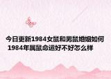 今日更新1984女鼠和男鼠婚姻如何 1984年属鼠命运好不好怎么样