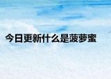 今日更新什么是菠萝蜜