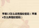 苹果13怎么设置指纹密码（苹果x怎么弄指纹密码）