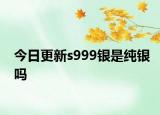 今日更新s999银是纯银吗