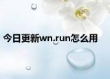 今日更新wn.run怎么用