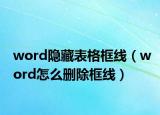 word隐藏表格框线（word怎么删除框线）