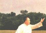 今日更新杨氏太极拳85式（85式传统太极杨式太极拳动作要点）