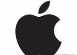 今日更新为什么ipad连不上wifi(为什么ipad找不到wifi信号)