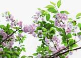 今日更新文艺小清新（文艺小清新唯美的短句）