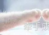 今日更新薛之谦复合（薛之谦高磊鑫复合）
