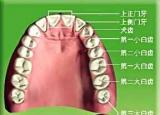 今日更新臼怎么读(�么儿怎么读)