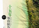 今日更新经典情感小说（5本情感小说细腻笔触写到你心坎里）