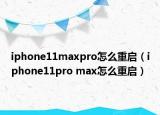 iphone11maxpro怎么重启（iphone11pro max怎么重启）