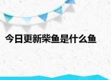 今日更新柴鱼是什么鱼