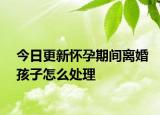 今日更新怀孕期间离婚孩子怎么处理