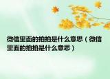 微信里面的拍拍是什么意思（微信里面的拍拍是什么意思）
