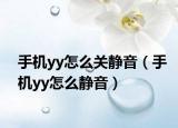 手机yy怎么关静音（手机yy怎么静音）