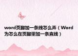 word页脚加一条线怎么弄（Word为怎么在页脚里加一条直线）