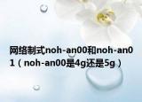 网络制式noh-an00和noh-an01（noh-an00是4g还是5g）