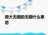 硕大无朋的无朋什么意思