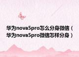 华为nova5pro怎么分身微信（华为nova5pro微信怎样分身）