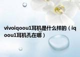 vivoiqoou1耳机是什么样的（iqoou1耳机孔在哪）