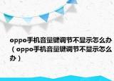 oppo手机音量键调节不显示怎么办（oppo手机音量键调节不显示怎么办）