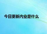 今日更新内业是什么