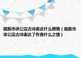 宿新市徐公店古诗表达什么感情（宿新市徐公店古诗表达了作者什么之情）