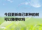 今日更新自己家种的树可以随便砍吗