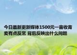 今日最新更新媒体1500元一亩收青麦有点反常 背后反映出什么问题