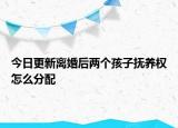 今日更新离婚后两个孩子抚养权怎么分配