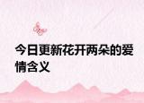 今日更新花开两朵的爱情含义